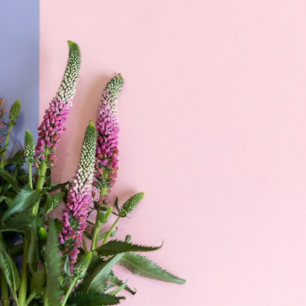 ベロニカの花花束ぼやけた背景と選択的な焦点 ピンクの花の背景 紙のモックアップの花 プレミアム写真