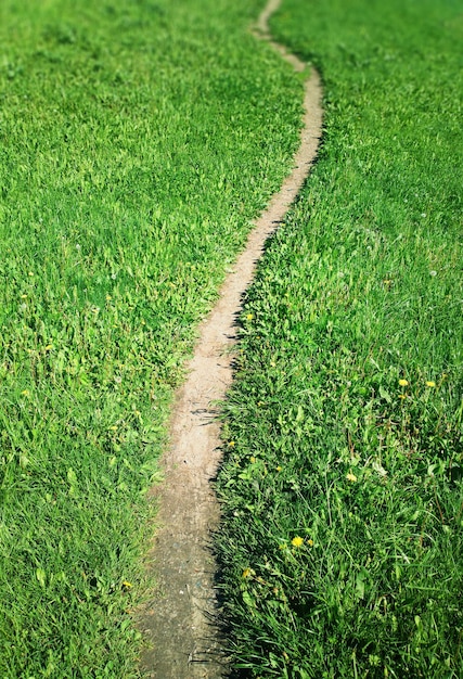 Premium Photo | Vertical countryside path landscape background