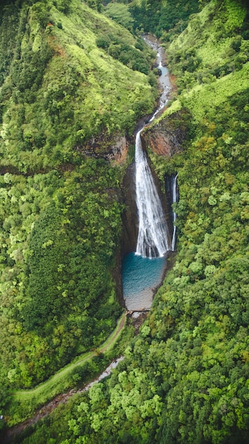 ハワイのカウアイ島で撮影された森の中の滝の垂直ハイアングルショット 無料の写真