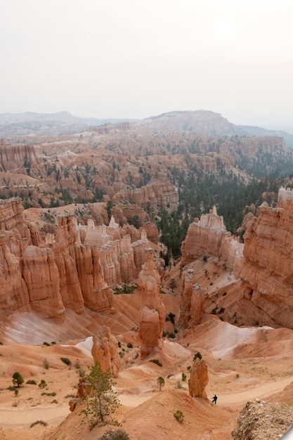 Premium Photo Vertical Shot Of Badlands Surrounded By Greenery At The