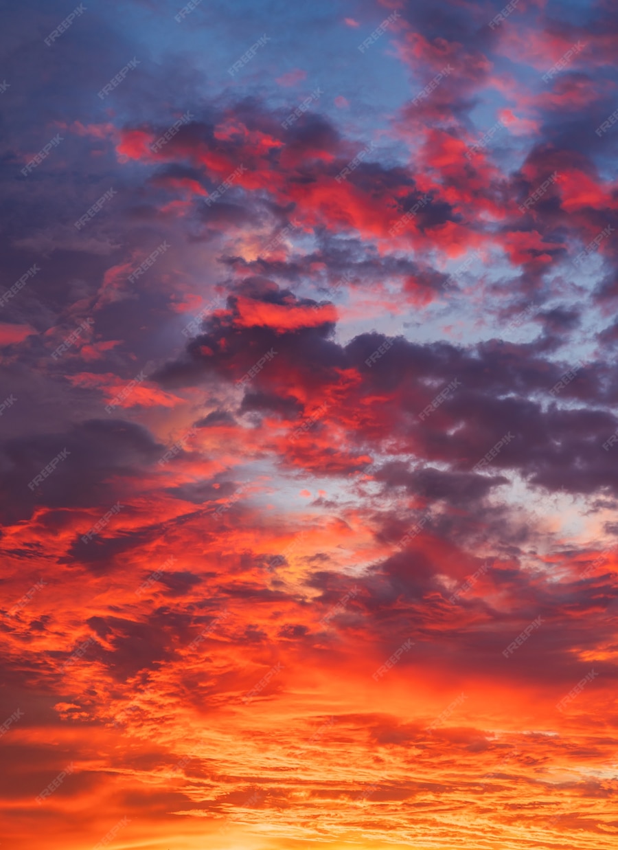 Premium Photo | Vertical sunset sky with colorful sunlight after ...