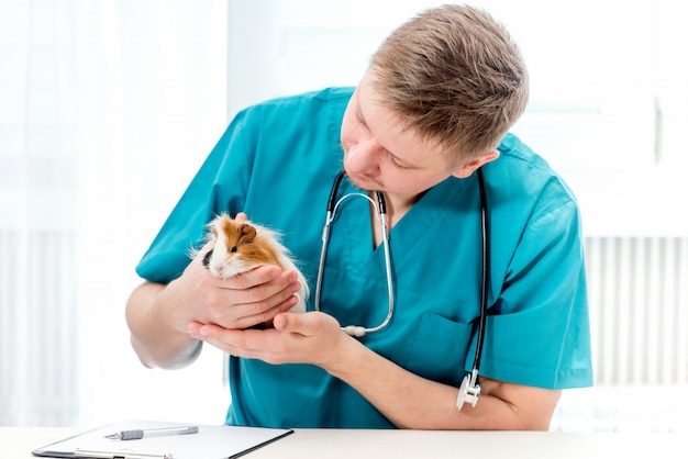 vets near me that see guinea pigs