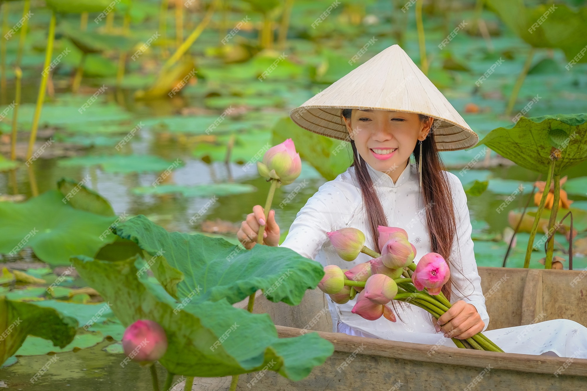 Premium Photo | Vietnamese women are collecting the lotus at sunset.