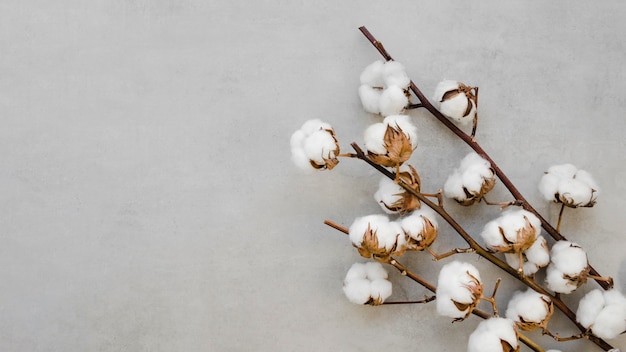 Premium Photo | Above view arrangement with cotton flowers and branches