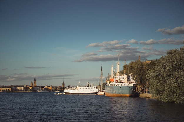 Vista Del Paesaggio Urbano Paesaggi Di Stoccolma Svezia Foto Gratis