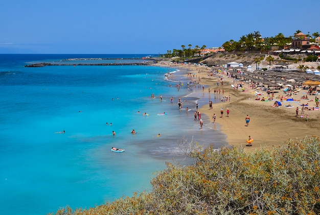 View Of El Duque Beach In Costa Adeje Tenerife Canary