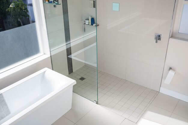 Premium Photo | View of an empty bathroom at home
