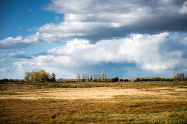 Premium Photo | View of golden meadow and rain clouds in blue sky on ...