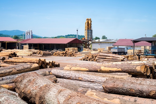 Free Photo | View of industrial sawmill factory for wood processing