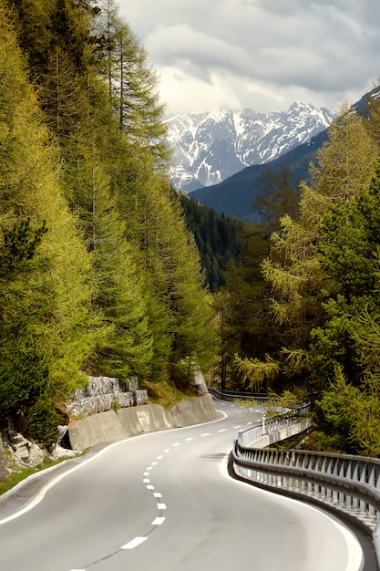 Premium Photo | View of road through the swiss national park in sunny ...