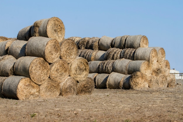 Premium Photo View Of A Stack Of Hay Bales On The Countryside