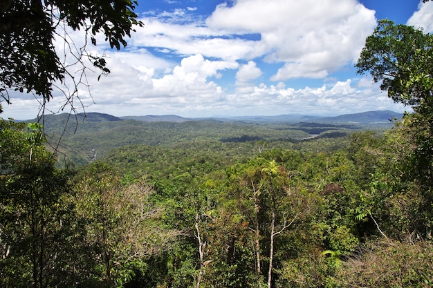 Premium Photo | View of the valley of kuranda, cairns, australia