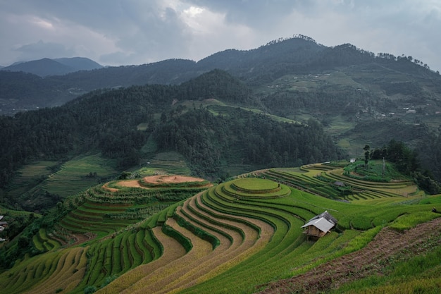 Viewpoint terraced rice fields Premium Photo