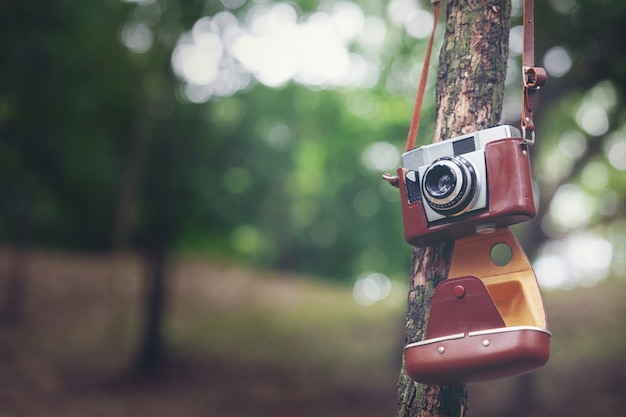 camera bokeh camera bokeh