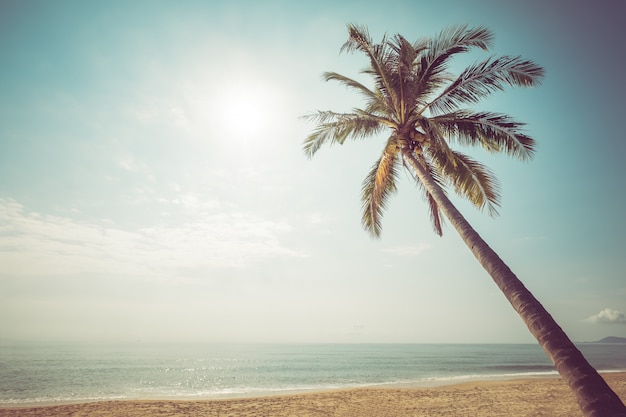 Premium Photo | Vintage beach background