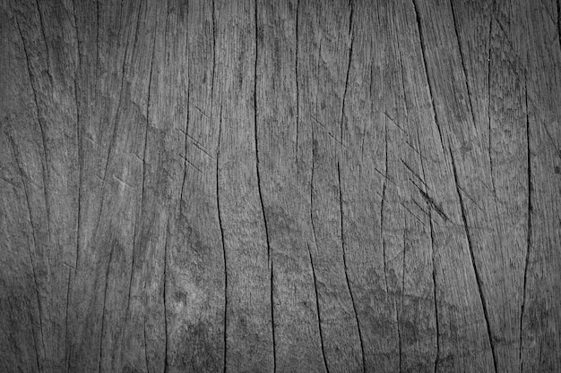 Vintage Black And White Old Wooden Texture Nature Background