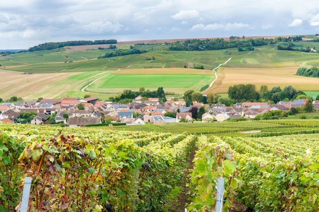 Premium Photo Vintage Countryside At Reims Reims Is A City In Northeastern France S Historical Champagne