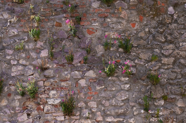 Premium Photo | Vintage wall texture with flowers