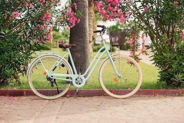vintage women's bicycle