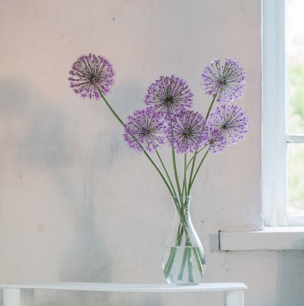 白い壁にガラスの花瓶の紫の丸い花 プレミアム写真