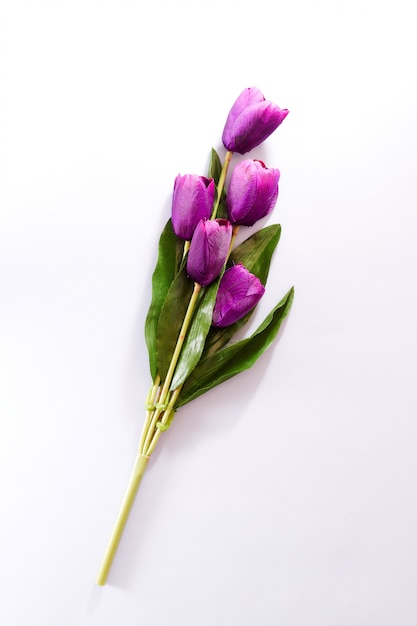 紫チューリップの花春の背景 プレミアム写真