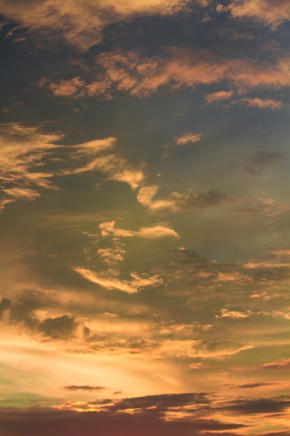 Premium Photo Vivid Dramatic Twilight Sunset Sky With Colorful Clouds And Silhouettes Of Birds