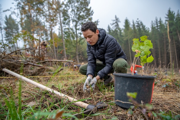 Volunteer plant trees to restore the forest after a devastating wind Premium Photo