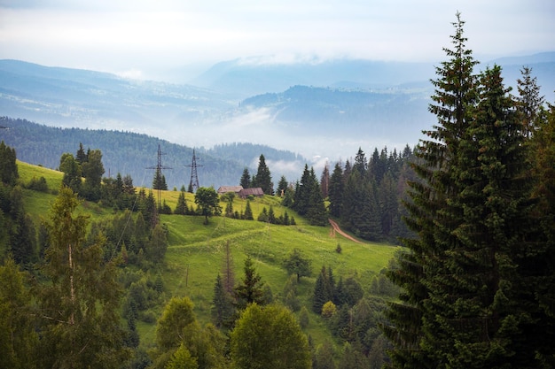 Premium Photo | Vorokhta - ukrainian landscape. view of the mountains ...