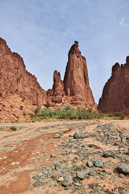 Premium Photo Wadi Disah Al Shaq Canyon Saudi Arabia