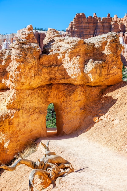 Free Photo Walking Arch In Bryce Canyon National Park Ut