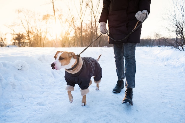 寒い冬の日に犬を散歩します 公園でひもに暖かい服装で犬と人 プレミアム写真