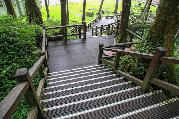The walkway from wood in alishan national park at taiwan ...