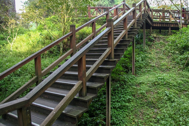 Walkway from wood in taiwan | Premium Photo