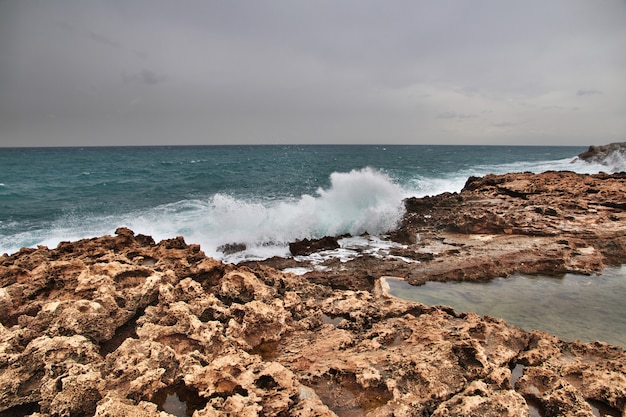 Premium Photo | The wall in batroun, lebanon