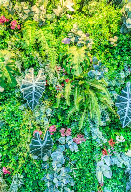 壁紙公園雰囲気大植物美しい草 無料の写真