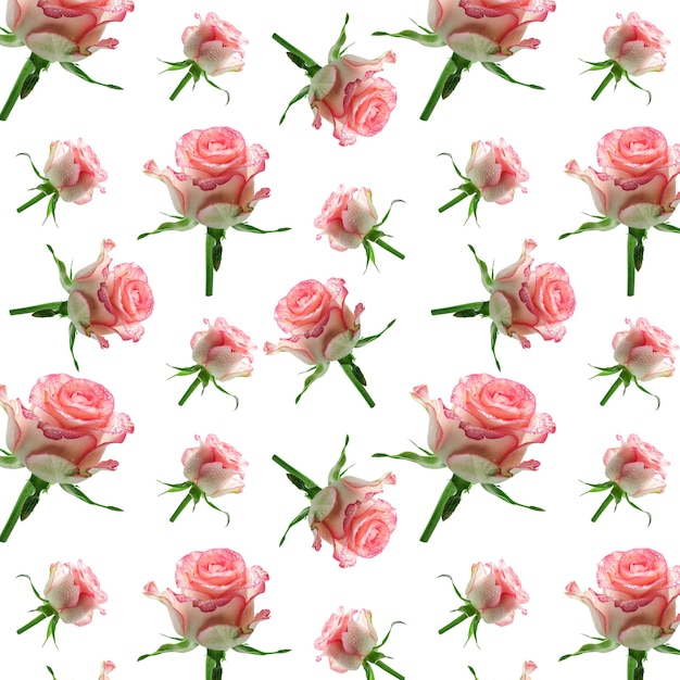 白い背景の上の壁紙のシームレスなピンクの花柄 生地や壁紙 デザインや装飾のためのシームレスなピンクのバラのパターン 美しい花 プレミアム写真