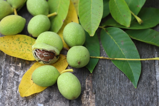 walnut shell green