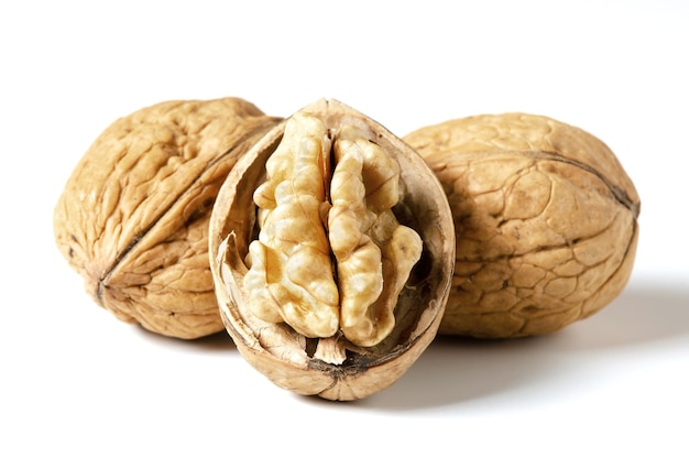 Premium Photo | Walnuts on a white background. nut - a source of ...