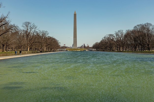 米国ワシントンdcの午後のワシントン記念塔 プレミアム写真