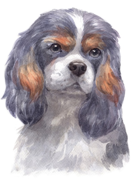 Premium Photo | Water colour painting of cavalier king charles spaniel