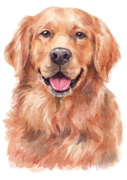 Premium Photo | Water colour painting of golden retriever