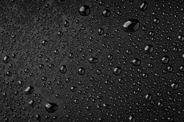 Premium Photo | Water droplets on black background