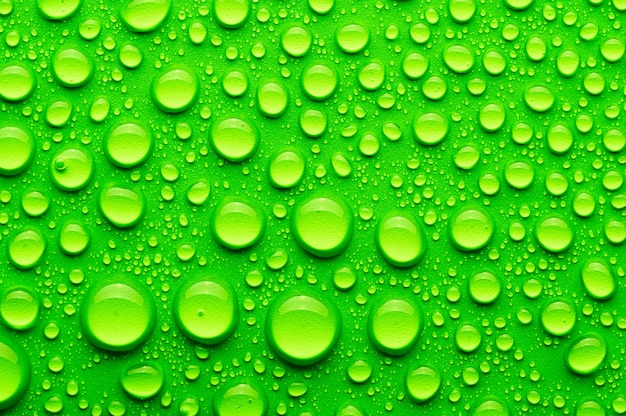 Premium Photo | Water drops on a green background