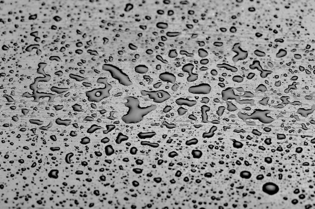 Premium Photo | Water drops splash on the black floor