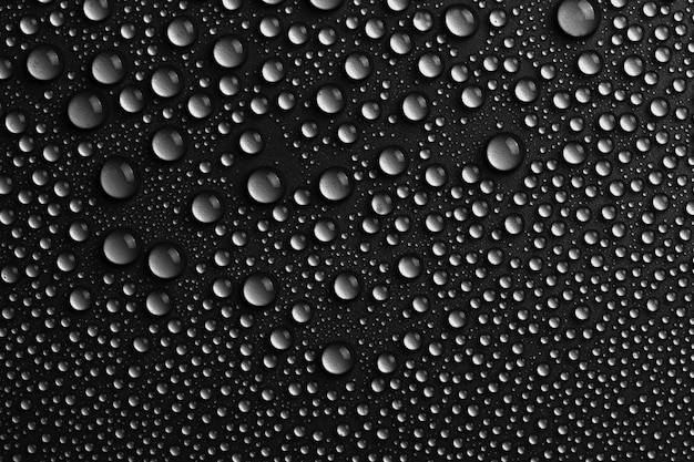 Free Photo | Water drops texture background, black design