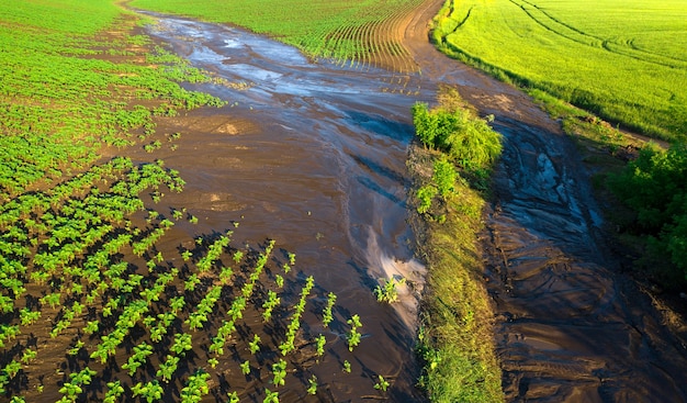 Water erosion of the soil Premium Photo