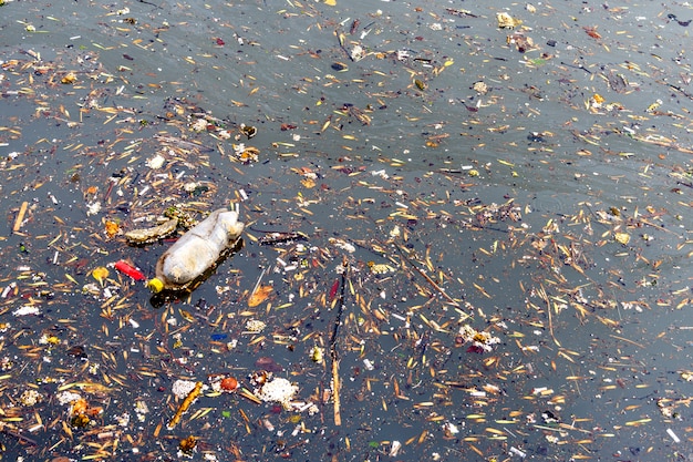 ごみによる水質汚染 汚い廃水 都市排水 プレミアム写真