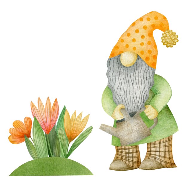 Premium Photo | Watercolor garden gnome isolated on white background