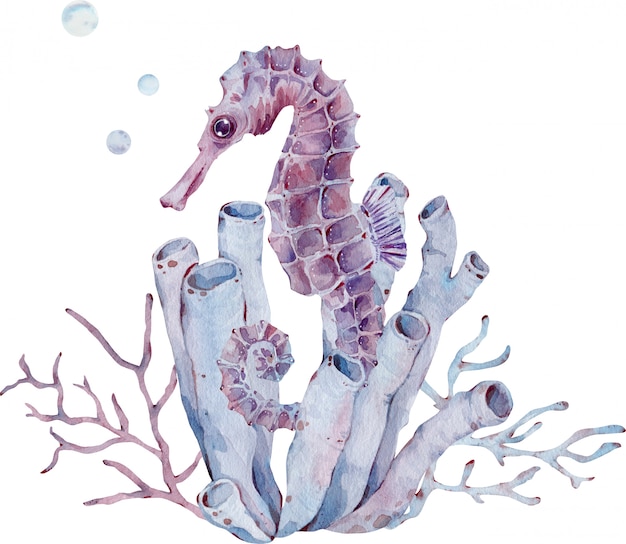 チューブスポンジと海藻でタツノオトシゴの水彩イラスト 海の生物 手描きアート プレミアム写真