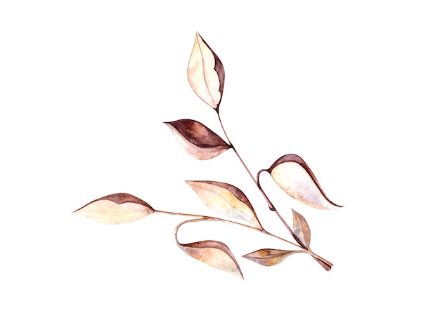 Premium Photo | Watercolor illustration with a sprig of leaves for a ...